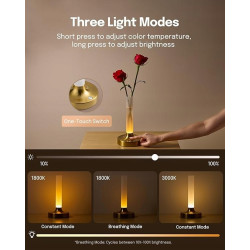 Bezprzewodowa Lampa Stołowa 2w1 Wazon i Lampka | Dotykowa | LED | Złota
