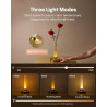 Bezprzewodowa Lampa Stołowa 2w1 Wazon i Lampka | Dotykowa | LED | Złota